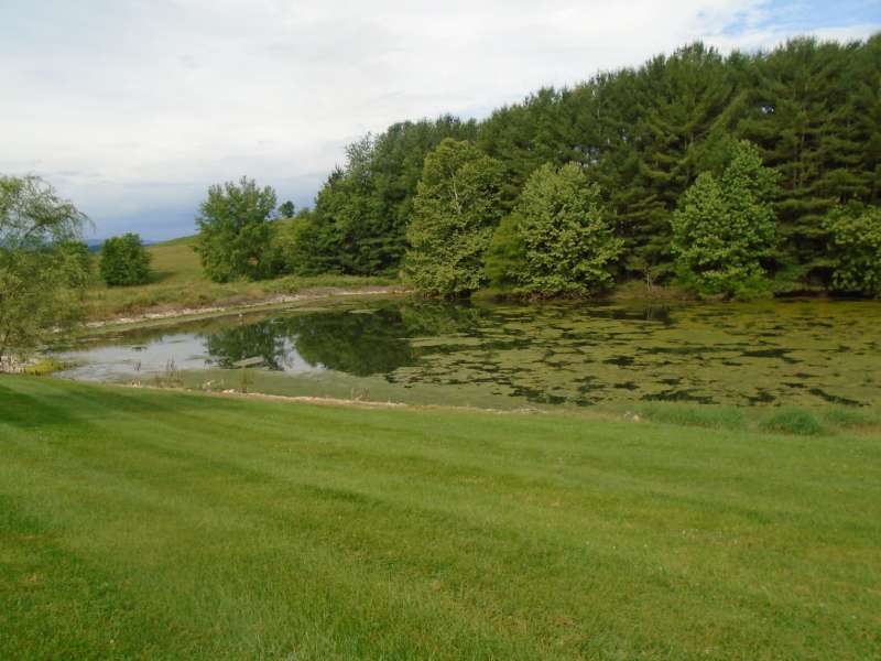 Attached picture Pond with FM-Resized.JPG